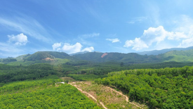 Land for sale in Kalai, Phang Nga