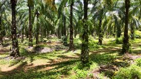 Land for sale in Nong Thale, Krabi