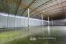 Warehouse / Factory for rent in Lam Sai, Phra Nakhon Si Ayutthaya
