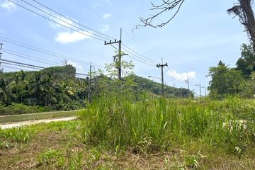 Land for sale in Kalai, Phang Nga