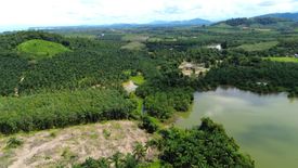 Land for sale in Bang Muang, Phang Nga