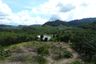 Land for sale in Bang Muang, Phang Nga