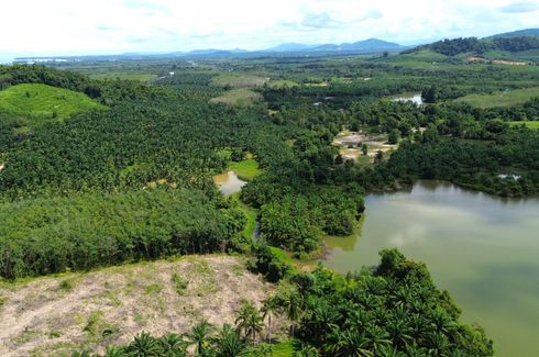 Land for sale in Bang Muang, Phang Nga