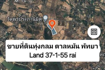 Land for sale in Nong Prue, Chonburi