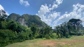 Land for sale in Nong Thale, Krabi