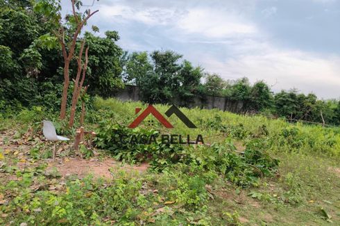 Land for sale in Nong Prue, Chonburi