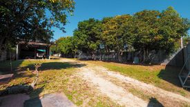 Land for sale in Huai Yai, Chonburi