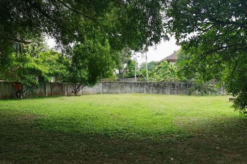 Land for sale in Nong Chom, Chiang Mai