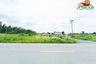 Land for sale in Bueng Yitho, Pathum Thani