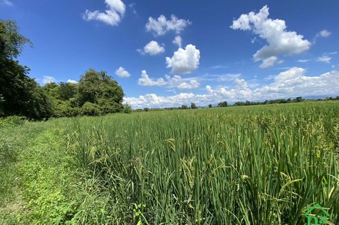 Land for sale in Ton Pao, Chiang Mai