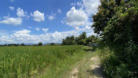 Land for sale in Ton Pao, Chiang Mai