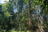 Land for sale in Na Toei, Phang Nga
