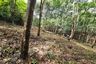 Land for sale in Khao Khram, Krabi