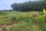 Land for sale in Wang Phong, Prachuap Khiri Khan