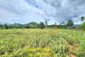 Land for sale in Pak Nam Pran, Prachuap Khiri Khan