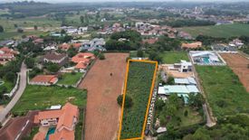 Land for sale in Pong, Chonburi