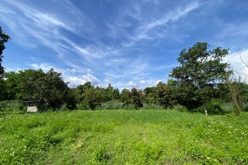 Land for sale in Nam Phrae, Chiang Mai