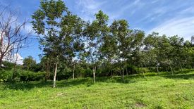 Land for sale in Nam Phrae, Chiang Mai