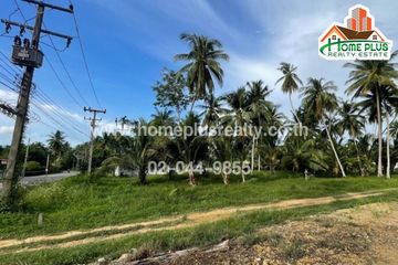 Land for sale in Thong Mongkhon, Prachuap Khiri Khan