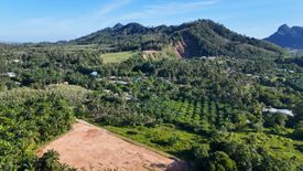 Land for sale in Nong Thale, Krabi