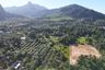 Land for sale in Nong Thale, Krabi