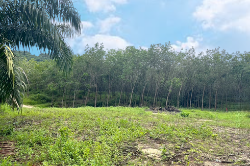 Land for sale in Khuekkhak, Phang Nga