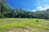 Land for sale in Khuekkhak, Phang Nga