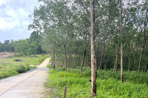 Land for sale in Khuekkhak, Phang Nga