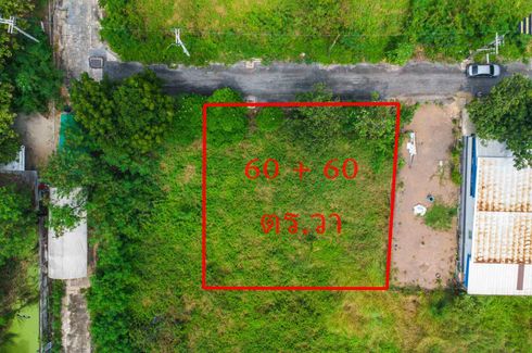 Land for sale in Bueng Ba, Pathum Thani