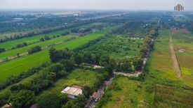 Land for sale in Bueng Ba, Pathum Thani