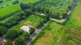 Land for sale in Bueng Ba, Pathum Thani