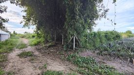 Land for sale in Thap Tai, Prachuap Khiri Khan