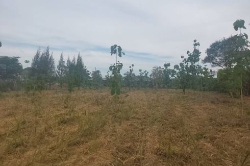 Land for sale in Phlu Ta Luang, Chonburi