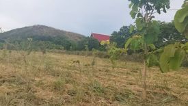 Land for sale in Phlu Ta Luang, Chonburi