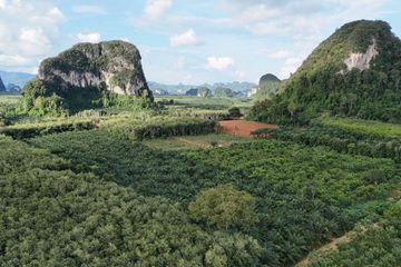 Land for sale in Nong Thale, Krabi