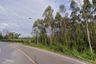 Land for sale in Lat Takhian, Prachin Buri