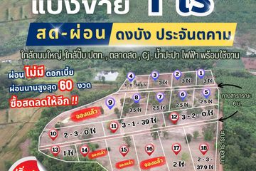 Land for sale in Dong Bang, Prachin Buri