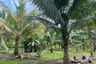Land for sale in Thai Mueang, Phang Nga