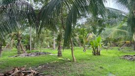 Land for sale in Thai Mueang, Phang Nga