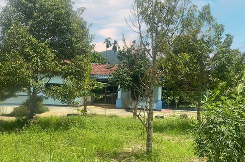 Land for sale in Lam Kaen, Phang Nga