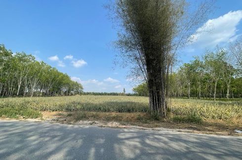 Land for sale in Nong Yai, Chonburi