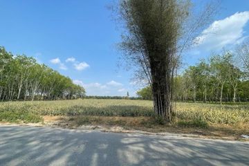 Land for sale in Nong Yai, Chonburi