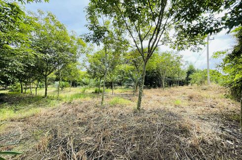 Land for sale in Nong Nae, Chachoengsao