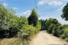 Land for sale in Nong Nae, Chachoengsao