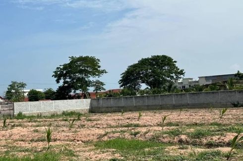 Land for sale in Nong Prue, Chonburi