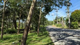 Land for sale in Khok Kloi, Phang Nga