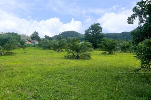 Land for sale in Khuekkhak, Phang Nga