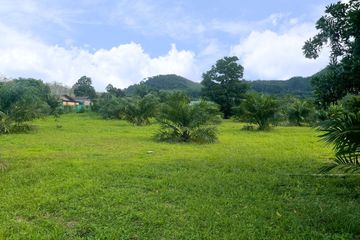 Land for sale in Khuekkhak, Phang Nga