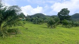 Land for sale in Khuekkhak, Phang Nga