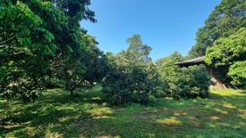 Land for sale in Luang Nuea, Chiang Mai